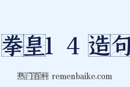 拳皇14造句是什么意思的图片